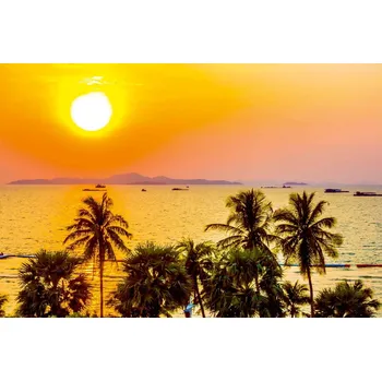 Fototapeta DIMEX | Vliesová fototapeta Silueta palmy MS-5-1760 | 375 x 250 cm| zelená, žlutá, oranžová + Vliesová fototapeta na stěnu DIMEX Silueta palmy MS51760 v rozměru 375 x 250 cm + lepidlo zdarma