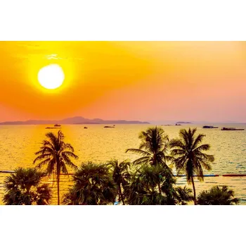 Fototapeta DIMEX | Vliesová fototapeta Palmy se západem slunce MS-5-1775 | 375 x 250 cm| zelená, žlutá, oranžová + Vliesová fototapeta na stěnu DIMEX Palmy se západem slunce MS51775 v rozměru 375 x 250 cm + lepidlo zdarma