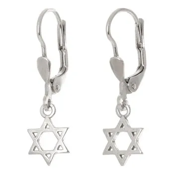 Náušnice Stříbrné visací naušnice židovská hvězda STNAU1322F