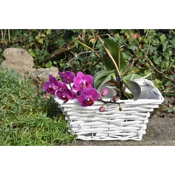 Truhlík Vingo Proutěný truhlík bílý Rozměry (cm): 34x17, v. 15