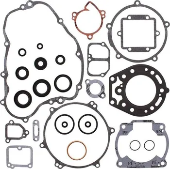 Těsnění motoru Winderosa sada těsnění motoru (s olejovým těsněním) Kawasaki KDX200 95-06