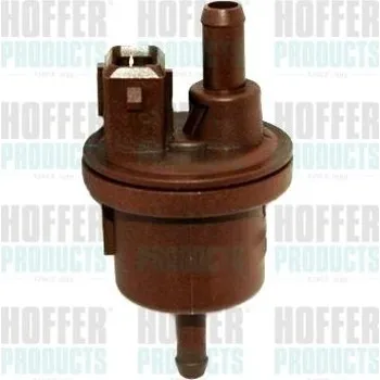 Palivový systém Zavzdušňovací/odvzdušňovací ventil, palivová nádrž HOFFER 8029311