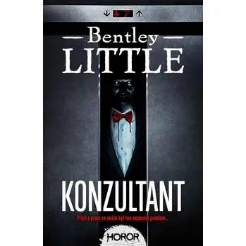 Kniha Konzultant - Bentley Little