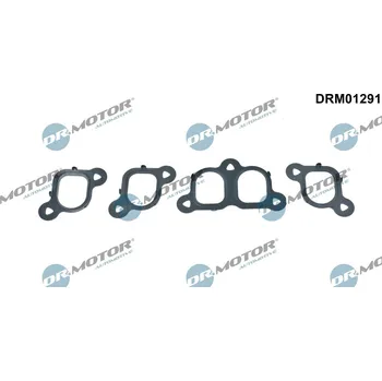 Automobilové těsnění Sada těsnění, koleno sacího potrubí Dr.Motor Automotive DRM01291