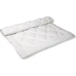 2G Lipov Přikrývka Clivie+ 95°C vyvařovací celoroční - 135x200 cm