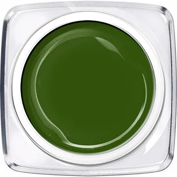BIO NAILS CHARM barevný gel 80457 Army Green 5 ml