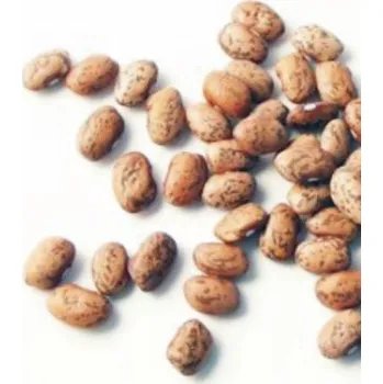 Příloha Nuevo Progreso Fazole pinto suché 1kg