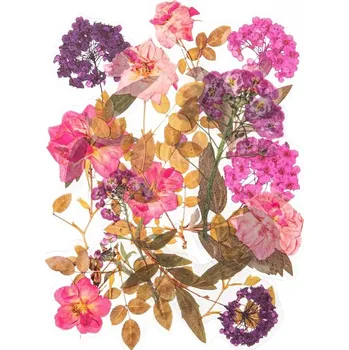 samolepka Průhledné samolepky "Hortenzie a růže" sada 12 ks