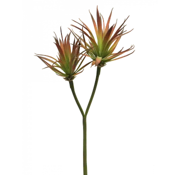 umělá květina Umělá rostlina, Agáve - Agave x2 červená V64 cm