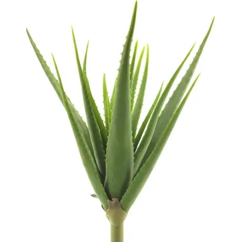umělá květina umělá rostlina, Aloe vera zelená V61