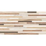 RAKO BOARD DDPSE023 30 cm x 60 cm x 1 cm mix barev 1 ks