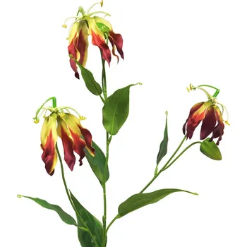 umělá květina Umělé květina, Glorióza - Gloriosa Michelle červená / burgundy 84cm