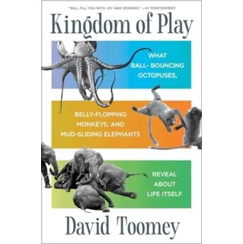 Kniha Kingdom of Play - Toomey, David