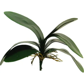 umělá květina umělé listy, Listy Orchidej (phalaenopsis) x7 / V29cm