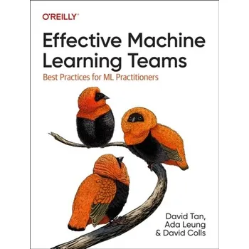 Technika Effective Machine Learning Teams - Haggard, Ken; Thorpe, David (Writer and consultant, UK); Bainbridge, David A.; Aljilani, Rachel
