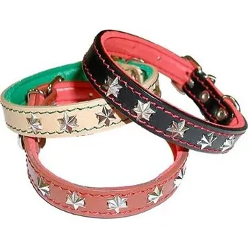 Obojek pro psa Chopo Obojky ASTA s pěnovkou zdobené do 30cm Barva: Přírodní