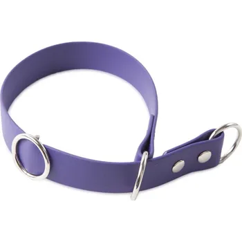 Obojek pro psa Firedog BioThane Obojek Sport 25mm 45cm Barva: Fialová