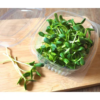 Microgreens slunečnice, 50 g