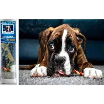 Diamantové malování Norimpex Diamantové malování Psí oči II 30x40cm