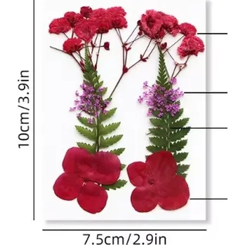 PourArt Sušené květiny SADA HAR-302A arch 100x75mm