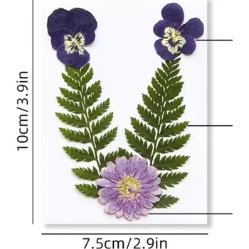 PourArt Sušené květiny SADA HAR-377 arch 100x75mm
