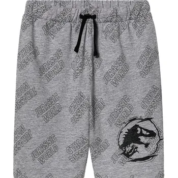 Chlapecké kraťasy Chlapecké bermudy (šedá, 158/164)