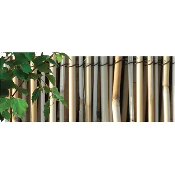 zahradní zástěna Rohož - rákos lesklý loupaný, 5m Výška: 1,5 m