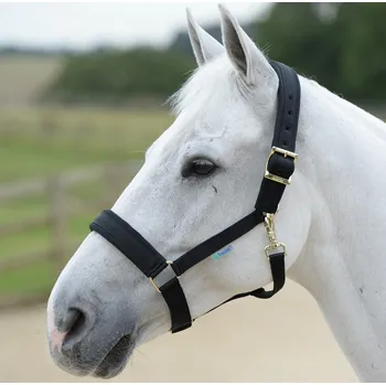 Jezdectví Bucas Ohlávka Comfort Bucas, černá PONY
