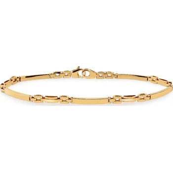 Náramek Článkový pánský náramek ve žlutém zlatě Ayden IZ30437 + dárkové balení LUXUS zdarma