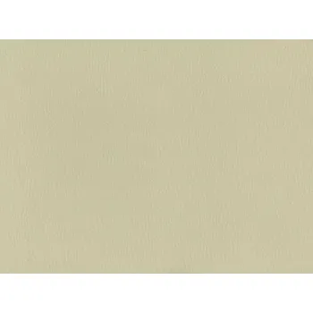 Koženka Dollarone 24 - SLEVA 3% s kodem radost25