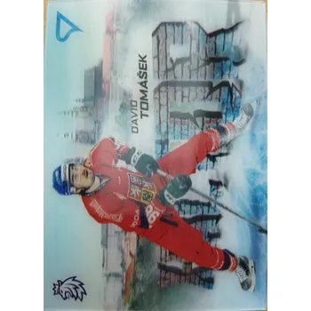 Karetní hra David Tomášek