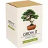 Semeno Gift republic Grow It sada na pěstování bonsaj 5 ks