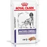 Krmivo pro psa Royal Canin Dog Adult/Senior kapsička Mature Consult 12x 85 g