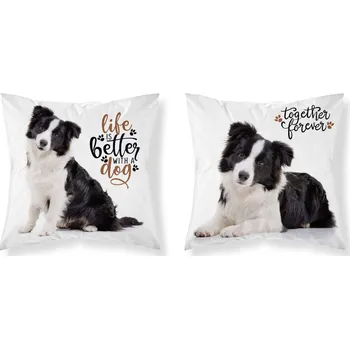 Povlak na dekorativní polštářek DETEXPOL Povlak na polštářek Border kolie micro Polyester, 40/40 cm