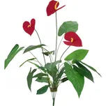 EuroPalms Toulitka 3 květy 70 cm