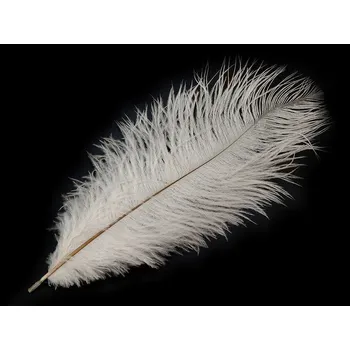 Pštrosí peří délka cca 20-25 cm - bílá (2 ks)