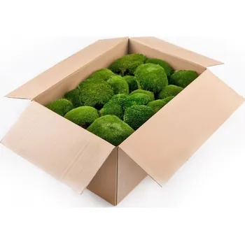 Dekorační stabilizovaný mech kopečkový 2,7kg, tm. zelený (bochánky)