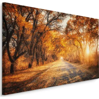 Obraz Plátno Cesta V Podzimním lese I. Varianta: 30x20