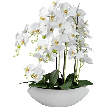 umělá květina Umělá Orchidej bílá v misce, 66cm