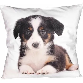 Povlak na dekorativní polštářek Fotonávlek, povlak na polštářek Štěňátko