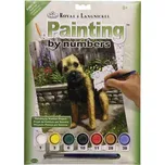 Malování podle čísel Border Teriér