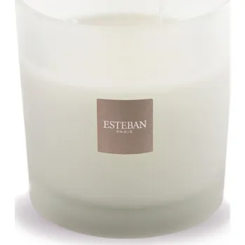 Svíčka Esteban Paris Parfums Esteban Paris Parfums CLASSIC – LEMONGRASS & MINT VONNÁ SVÍČKA  450 g