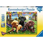 Ravensburger Puzzle Psí piknik XXL 100…