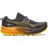Pánská běžecká obuv Asics Trabuco Max 2 1011B606-001