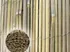zahradní zástěna PILECKÝ Bamboopil štípaný bambus béžový