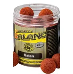 Carp Servis Václavík Boilies Balanc 25…