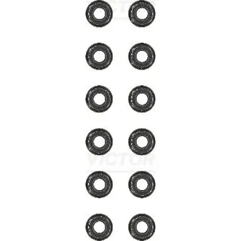 Těsnění motoru Sada těsnění, dřík ventilu VICTOR REINZ 12-31306-08