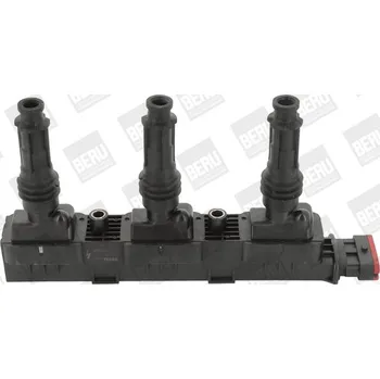 Zapalovací cívka Zapalovací cívka BorgWarner (BERU) ZS358