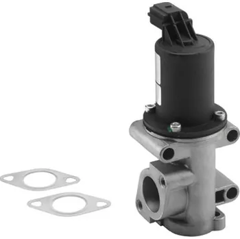 Ventil palivového systému AGR-Ventil BORGWARNER 710960R