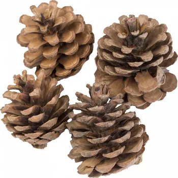 Velikonoční dekorace Dekorace - Blue pine 4 ks